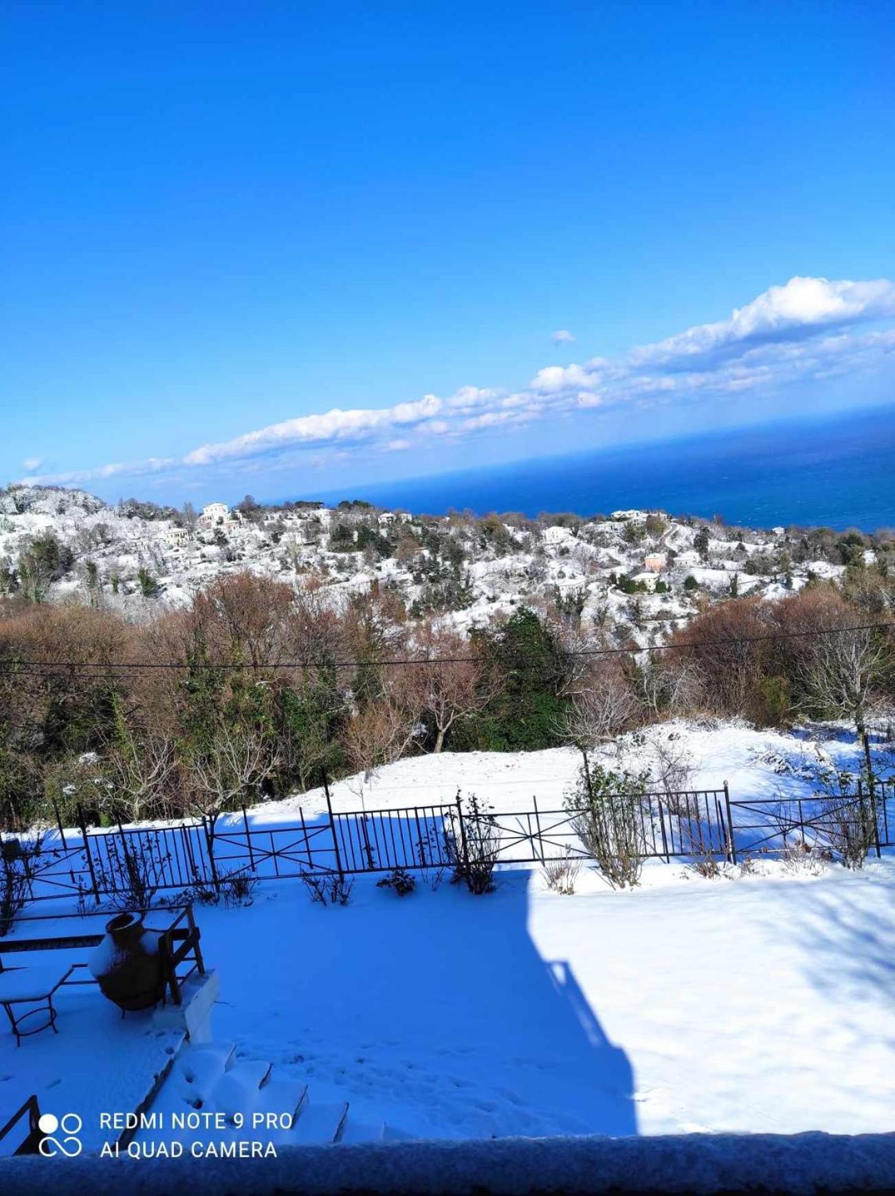 Diogenis Hotel تساغارادا المظهر الخارجي الصورة