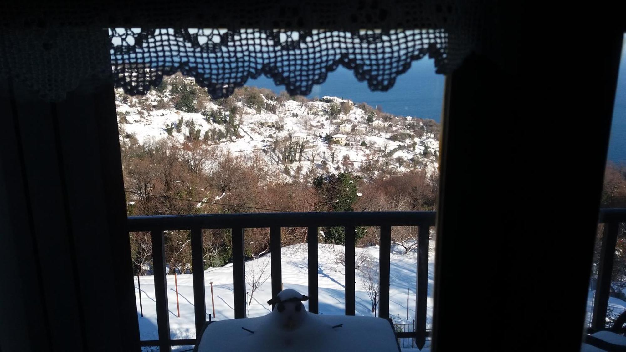 Diogenis Hotel تساغارادا المظهر الخارجي الصورة