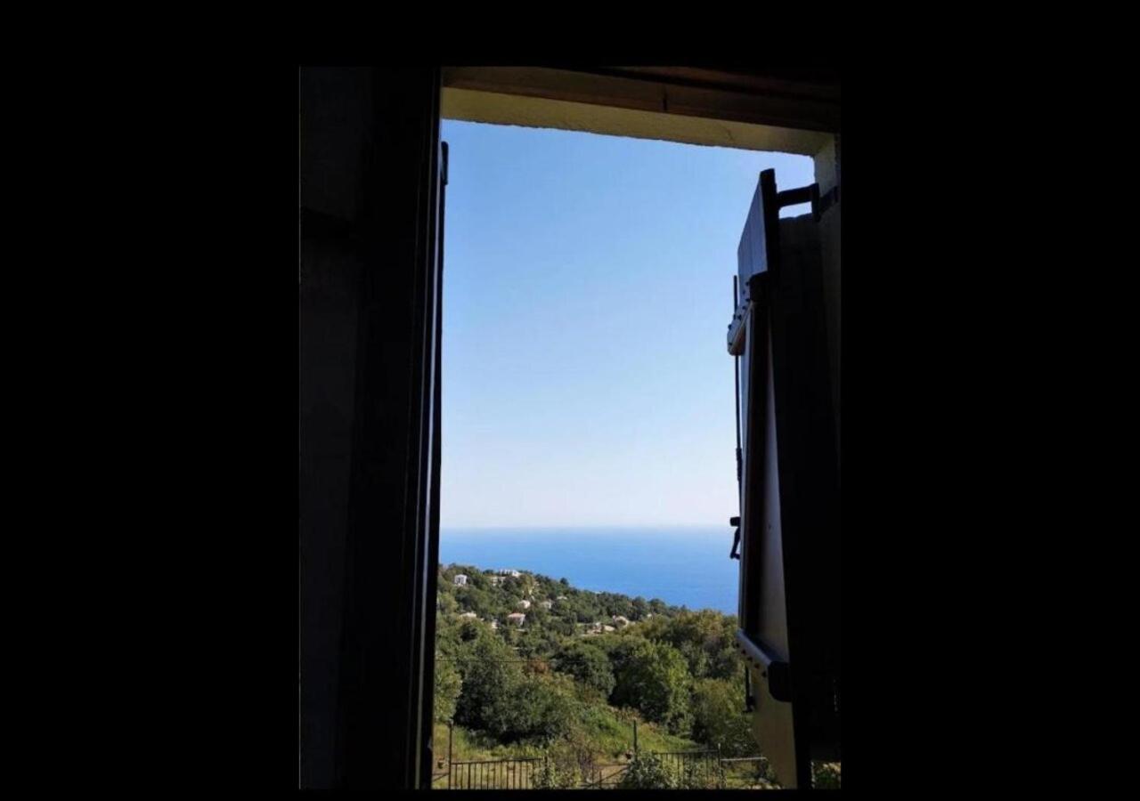 Diogenis Hotel تساغارادا المظهر الخارجي الصورة