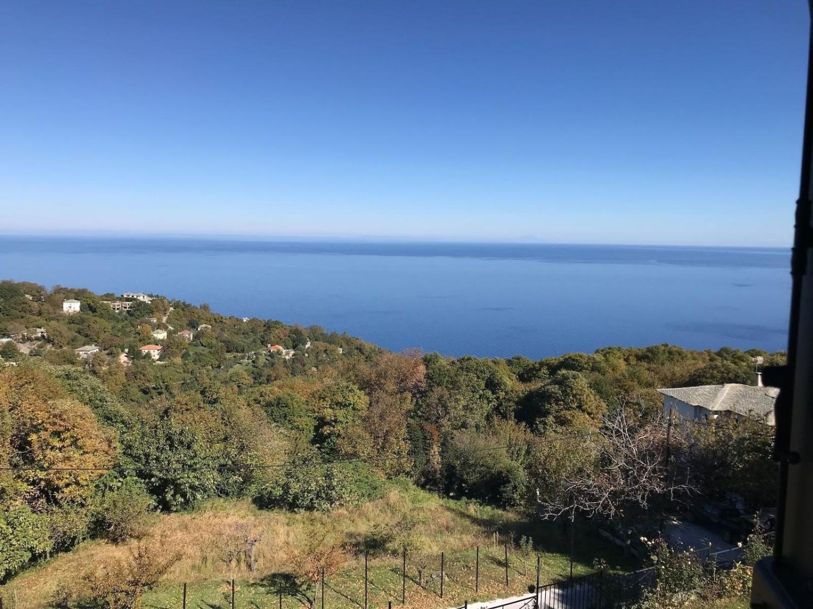 Diogenis Hotel تساغارادا المظهر الخارجي الصورة