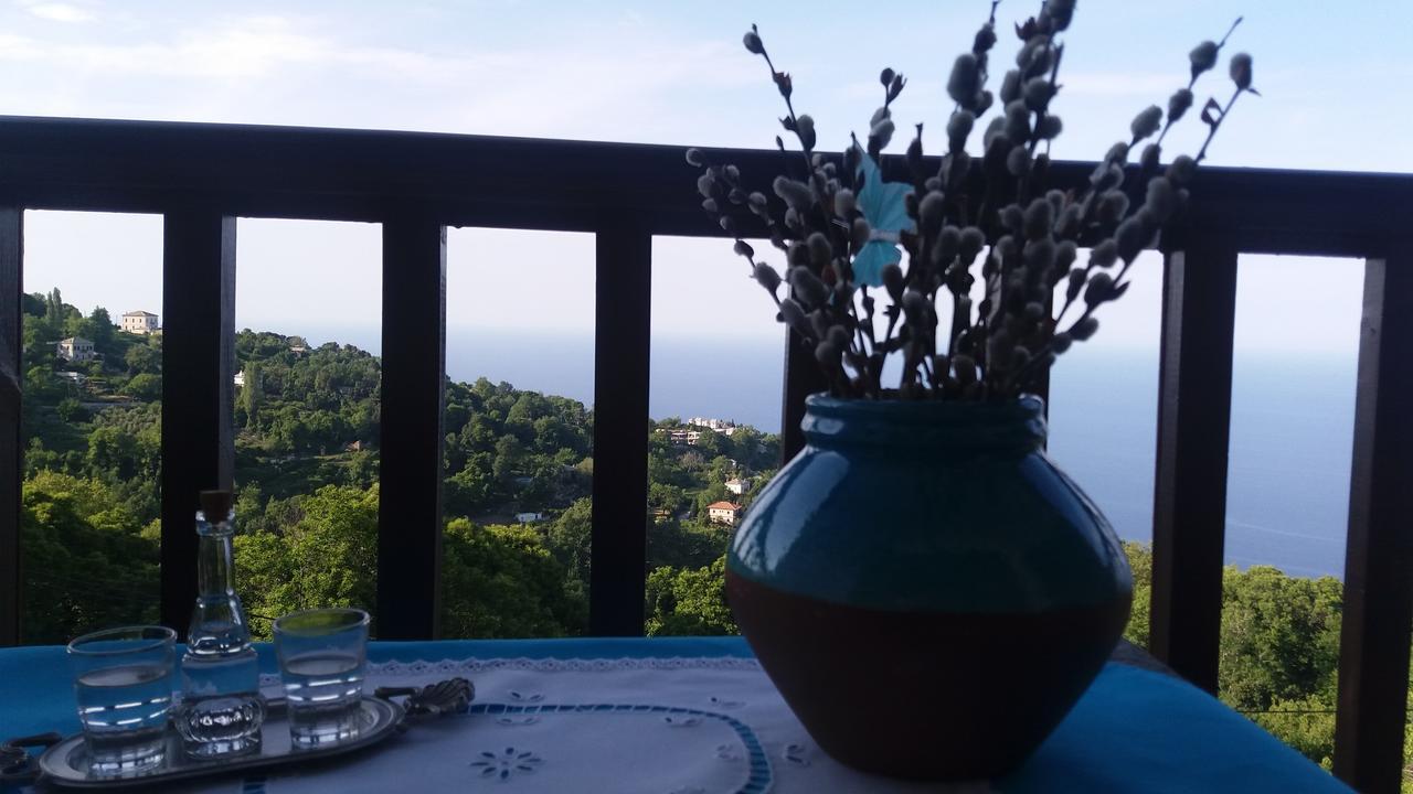 Diogenis Hotel تساغارادا المظهر الخارجي الصورة