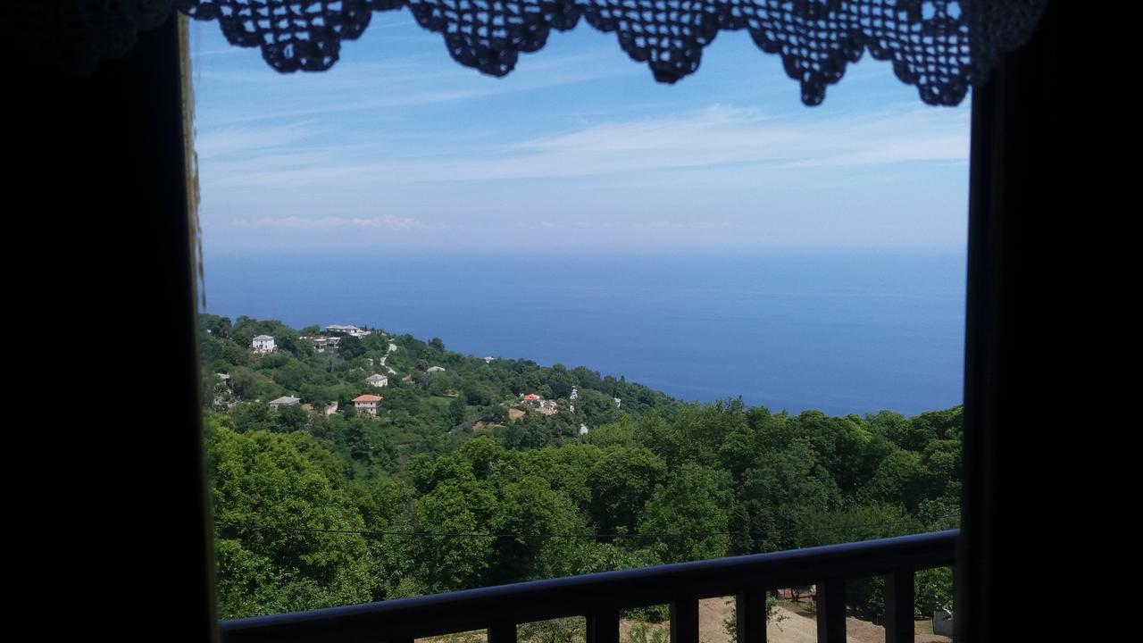 Diogenis Hotel تساغارادا المظهر الخارجي الصورة