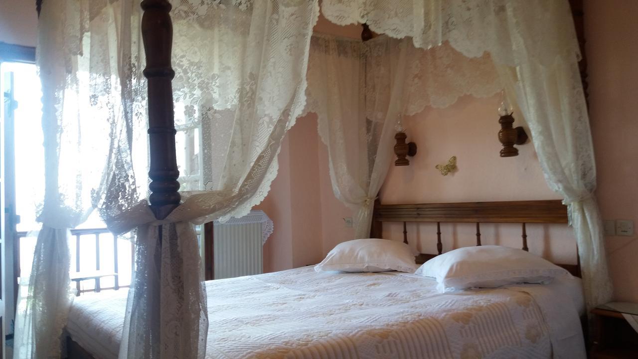 Diogenis Hotel تساغارادا المظهر الخارجي الصورة