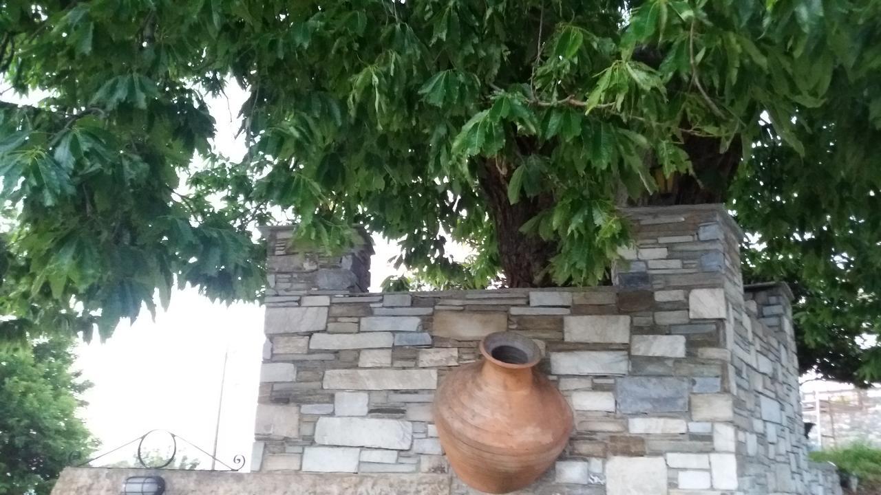 Diogenis Hotel تساغارادا المظهر الخارجي الصورة